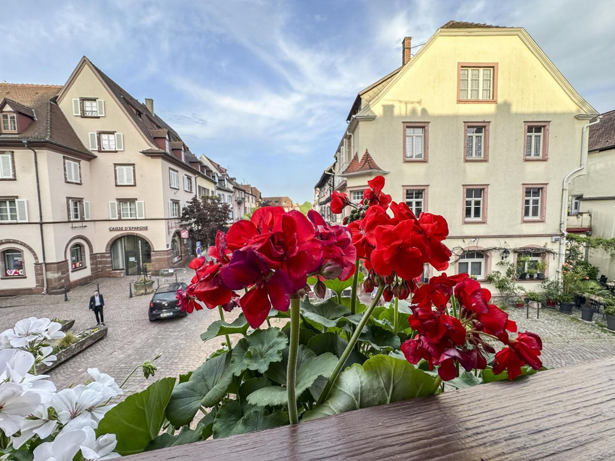 Origin'Alsace Appartement Kaysersberg-Vignoble Buitenkant foto